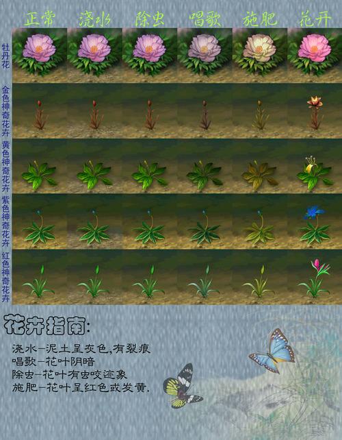 王者荣耀凯瑟琳教学图片（凯瑟琳打排位）
